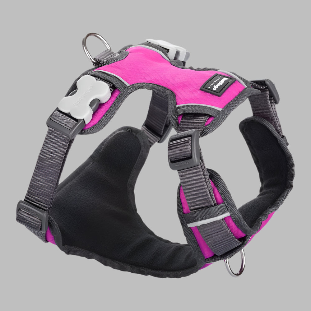 Verstelbaar hondentuigje