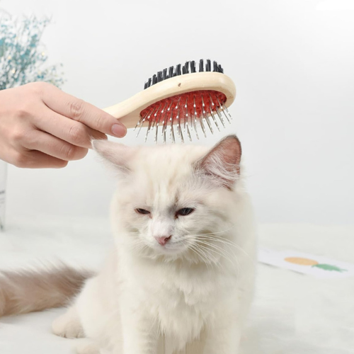 Stalen plastic hondenborstel