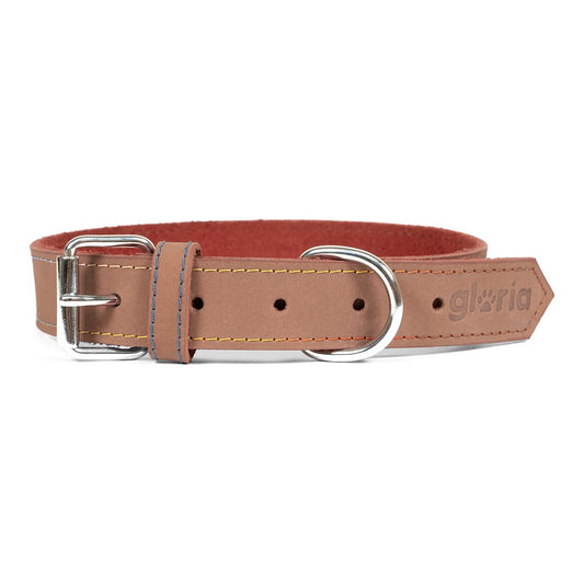Bruine hondenhalsband