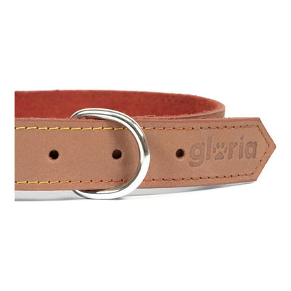 Bruine hondenhalsband