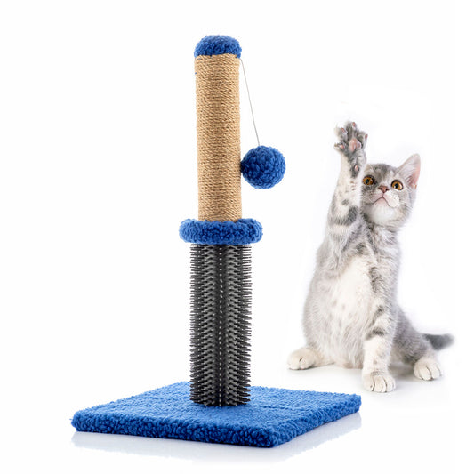 Katten krabben en massage